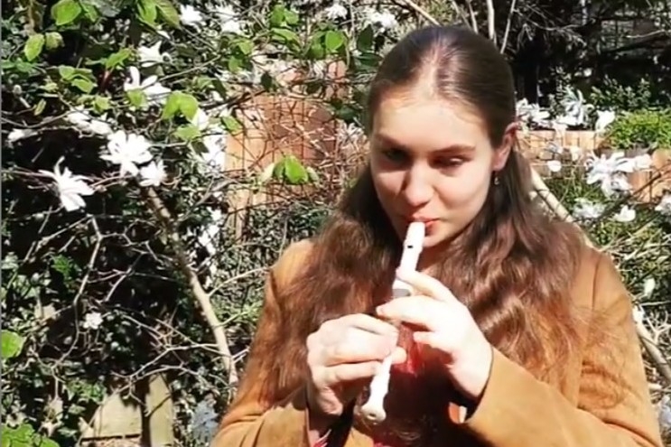 Deze musici blinken uit in thuisconcerten